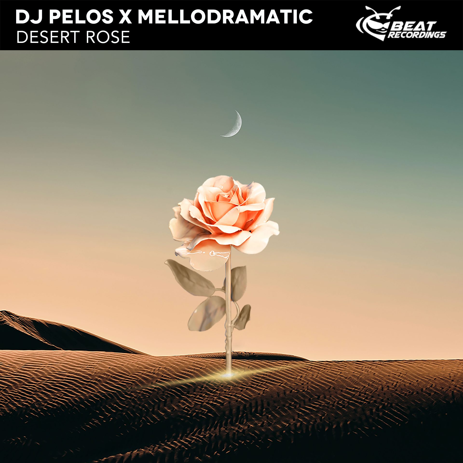 Desert Rose &#8211; DJ Pelos X Mellodramatic