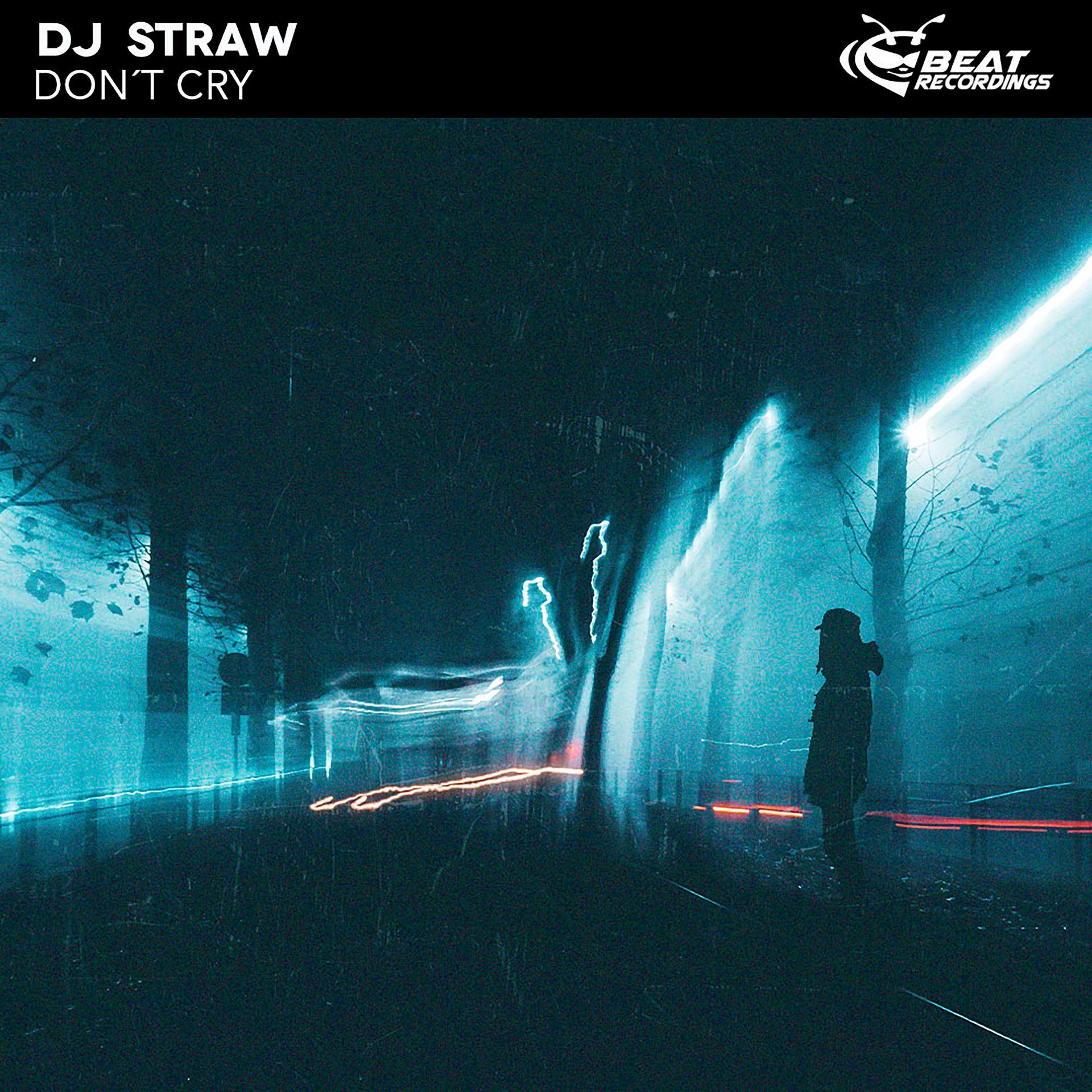 Don´t Cry &#8211; DJ Straw