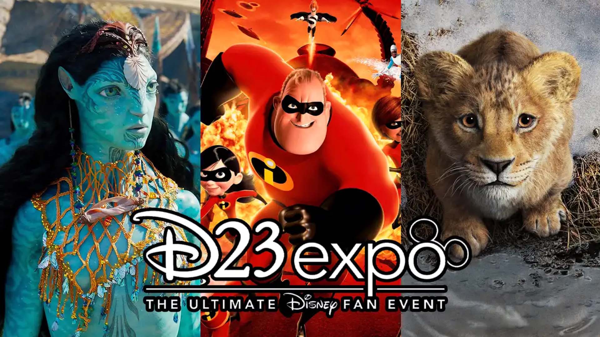 Todos los anuncios de Disney en la D23: de &#8216;Mufasa: El rey león&#8217; a &#8216;Toy Story 5&#8217;
