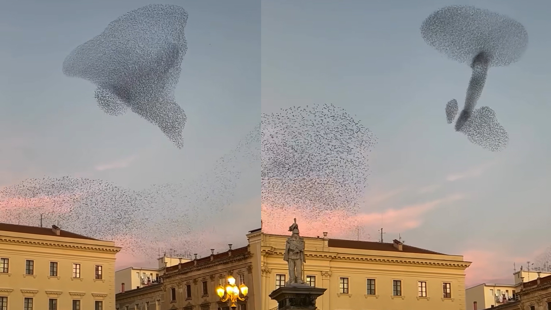Video Viral: Asombroso fenómeno de la murmuración en Italia