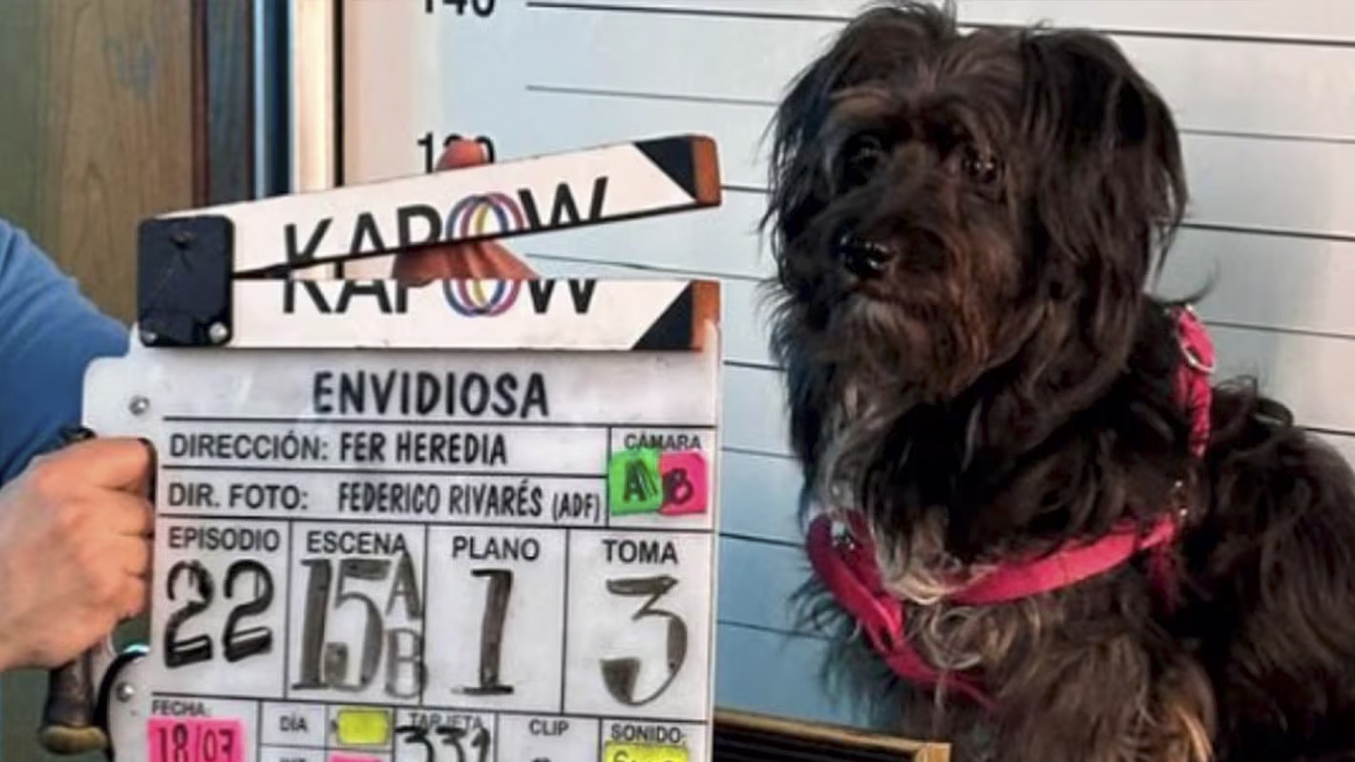 &#8220;Uma&#8221; la perrita rescatada se convierte en estrella de Netflix