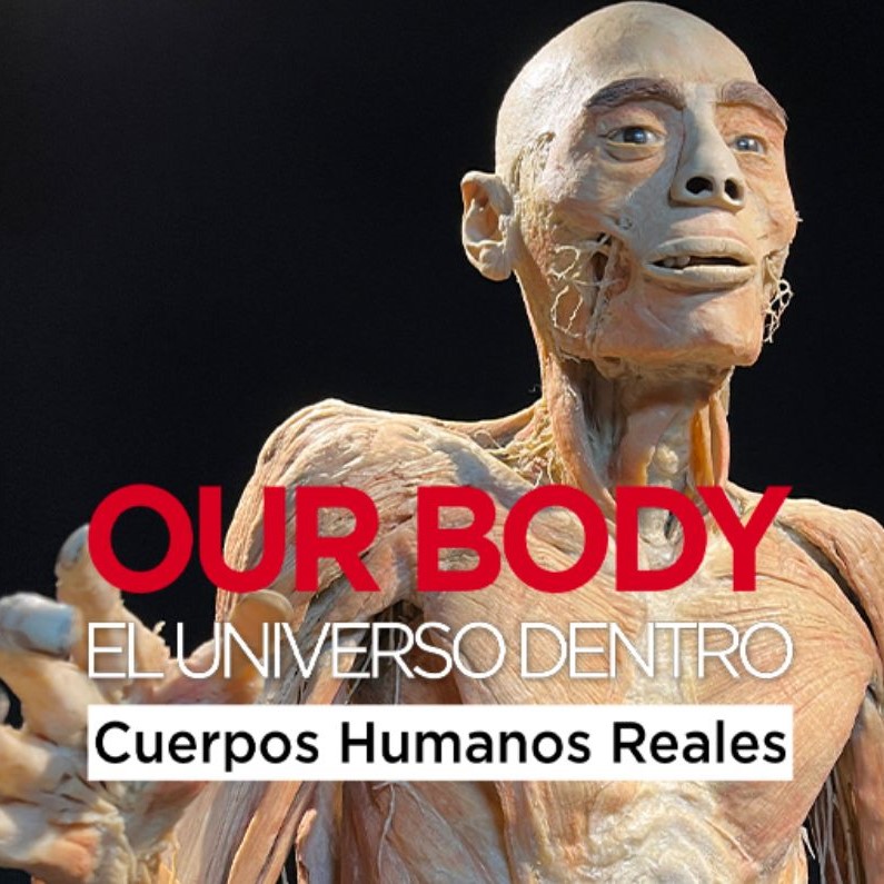 Vive OUR BODY: Participa y ¡gana tus boletos!
