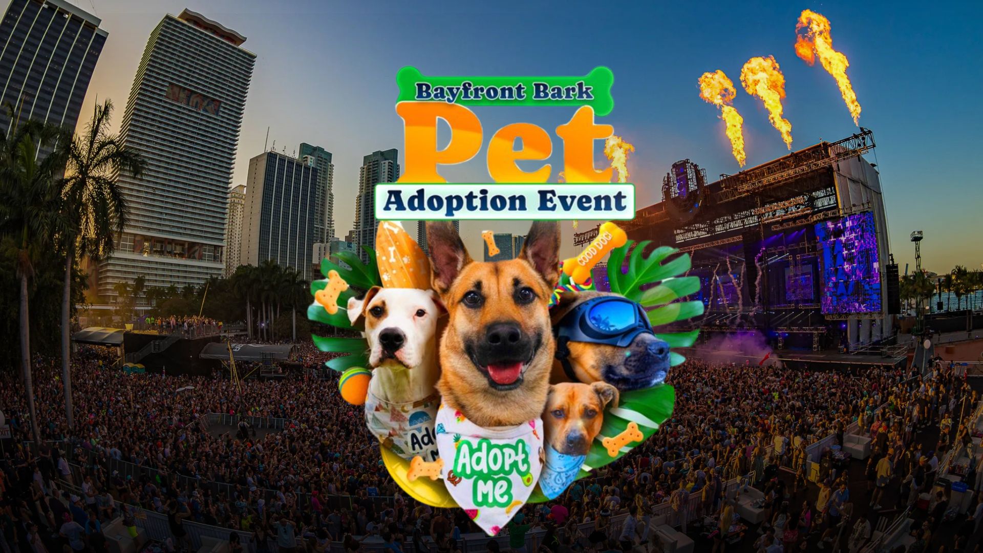 Ultra Miami: un festival que también late por los animales.