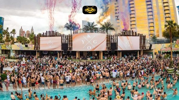 Palm Tree Crew: Kygo convierte su visión en marca de $215 millones